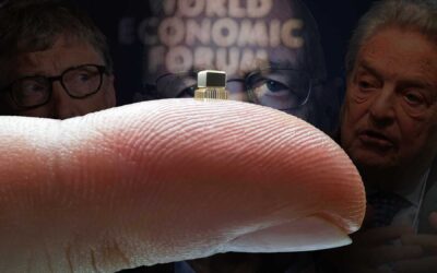 Il microchip e gli utili idioti