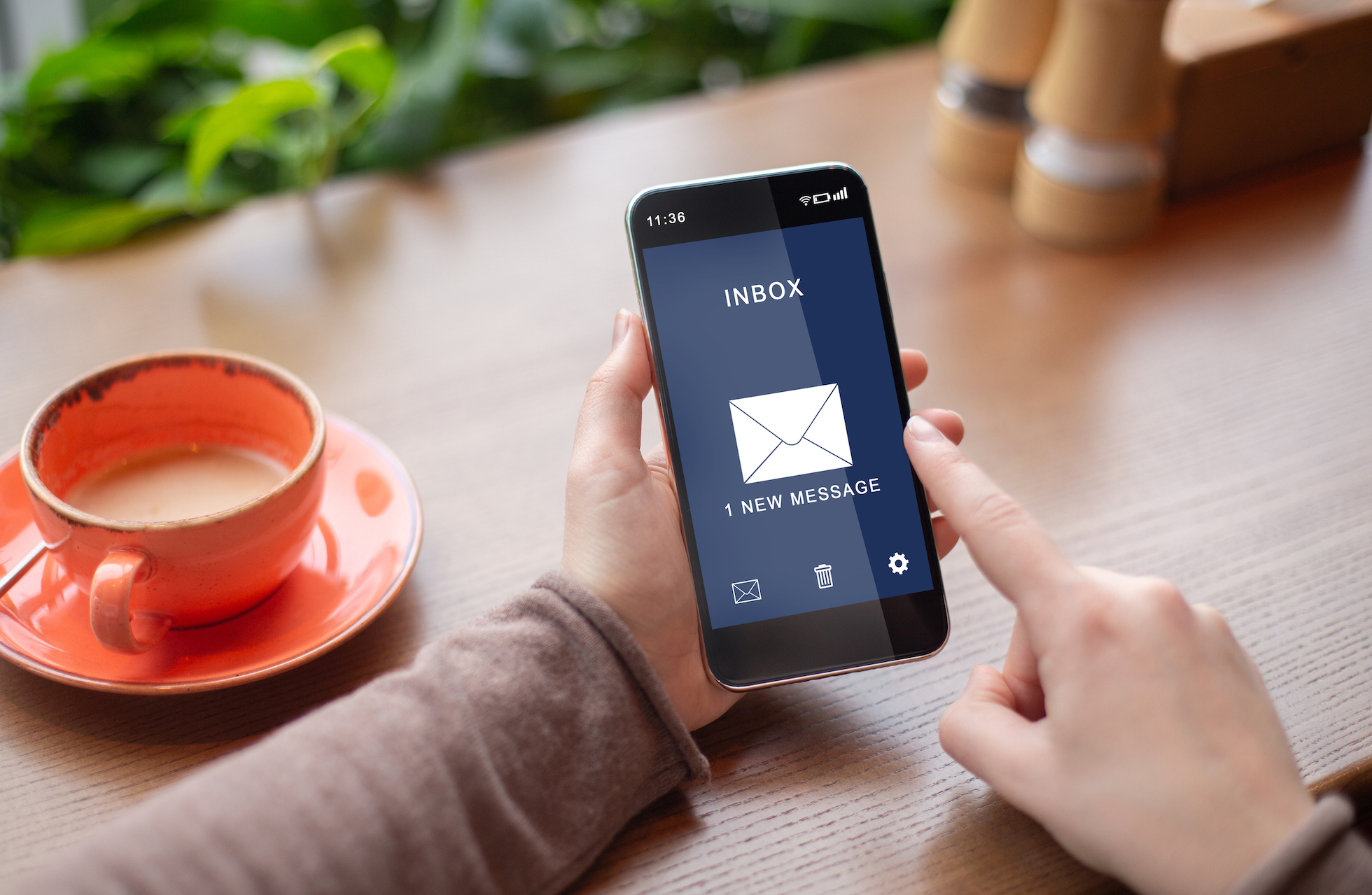 Newsletter