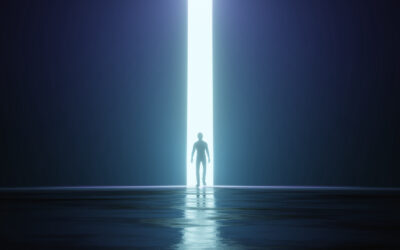 L’attraversamento: dalla gabbia alla libertà con il blogging business avanzato