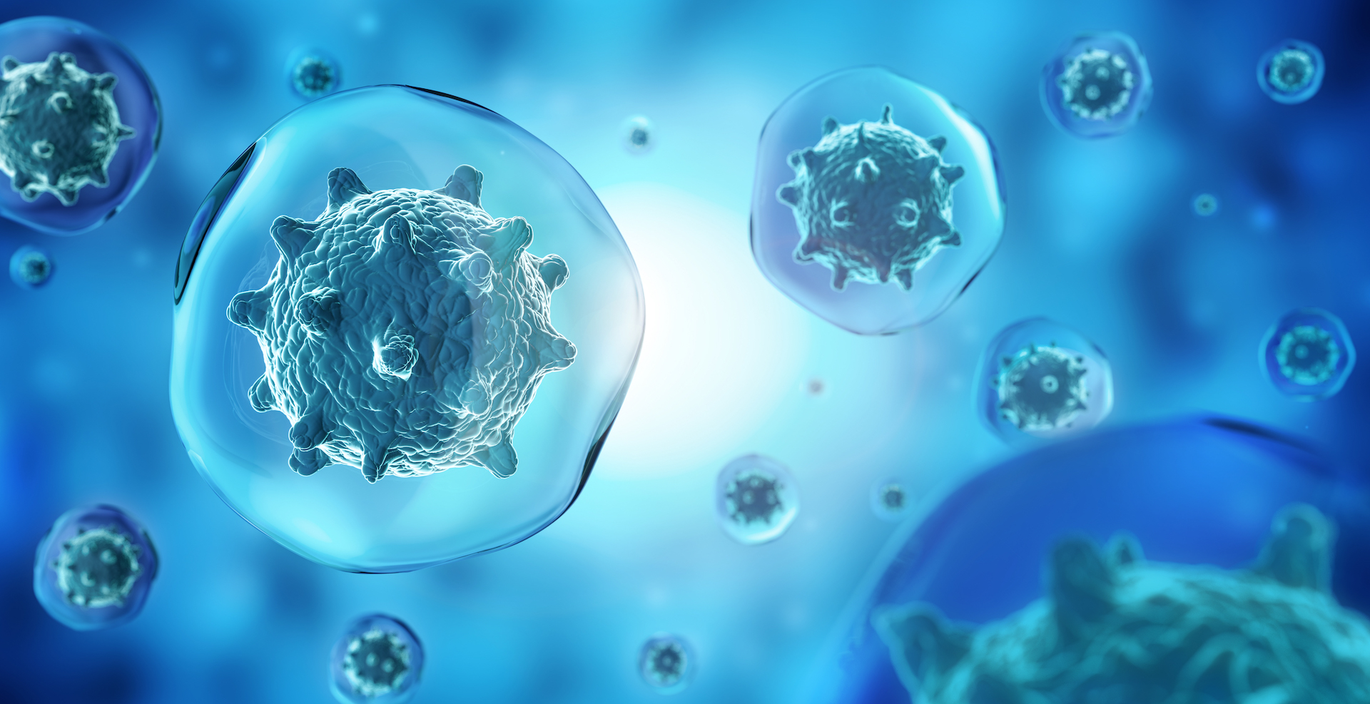 Il contenuto dei vaccini Il contenuto dei vaccini