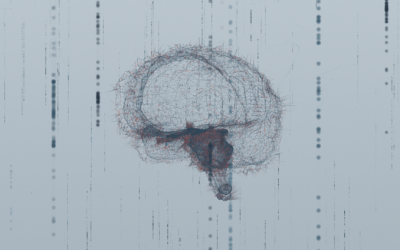 Processi decisionali e marker somatici. Che ruolo hanno le emozioni nei processi d’acquisto?