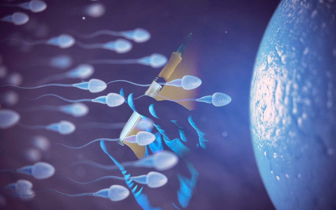 Nuovo studio israeliano: la vaccinazione covid riduce gli spermatozoi. Secondo FanPage è il caldo