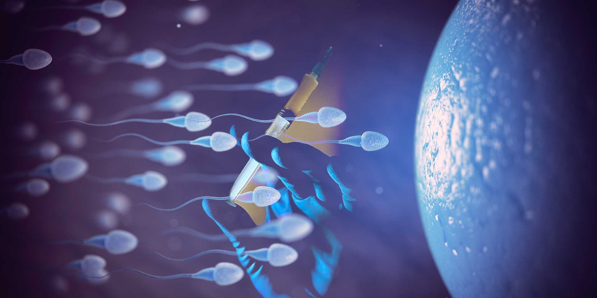 vaccinazioni-spermatozoi