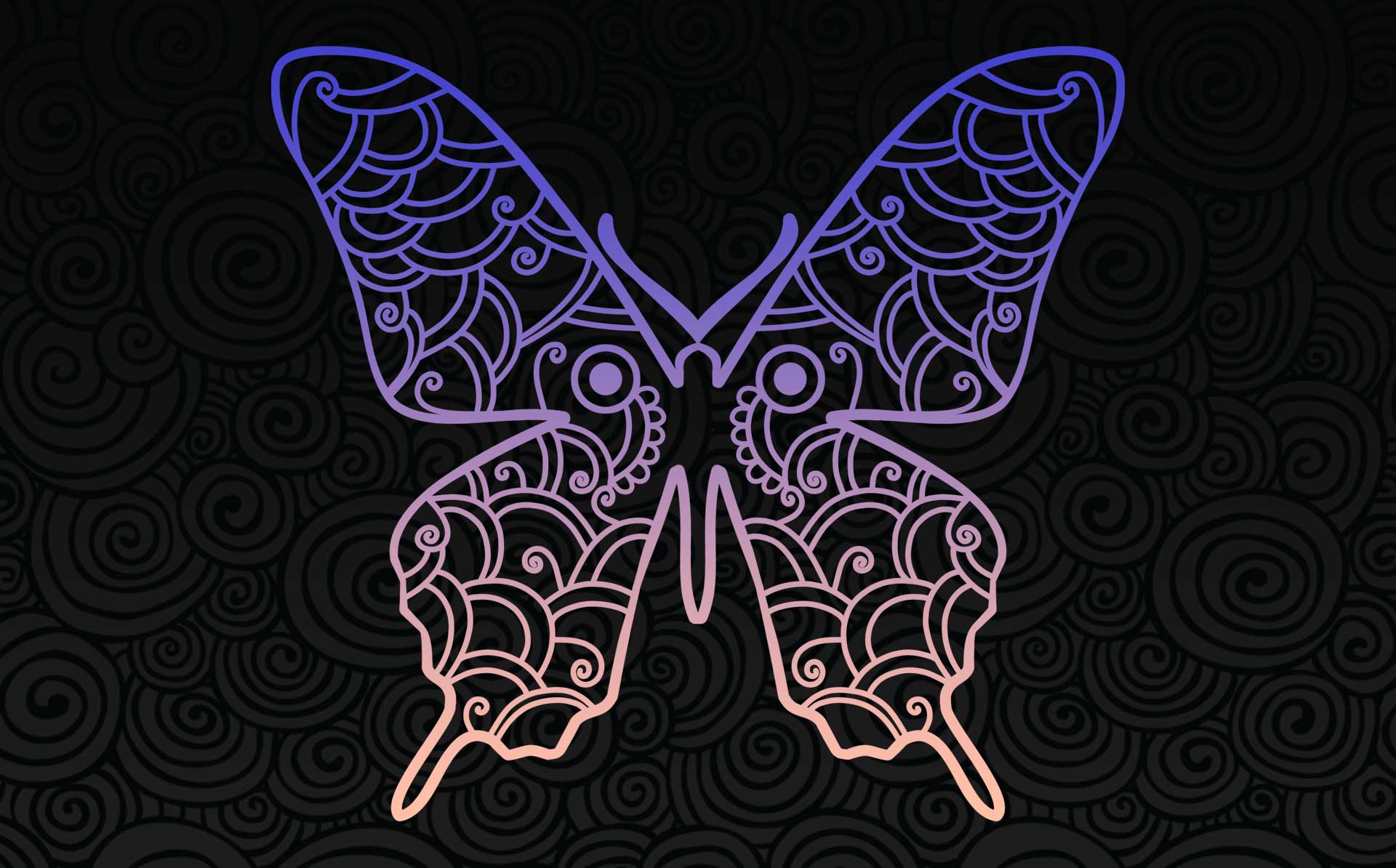 mandala-farfalla-decorazioni-interne
