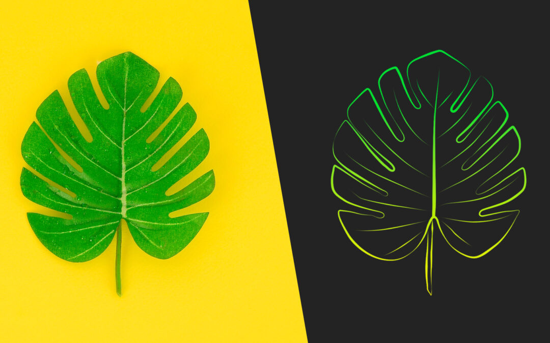 Come trasformare qualsiasi foto in un disegno da colorare