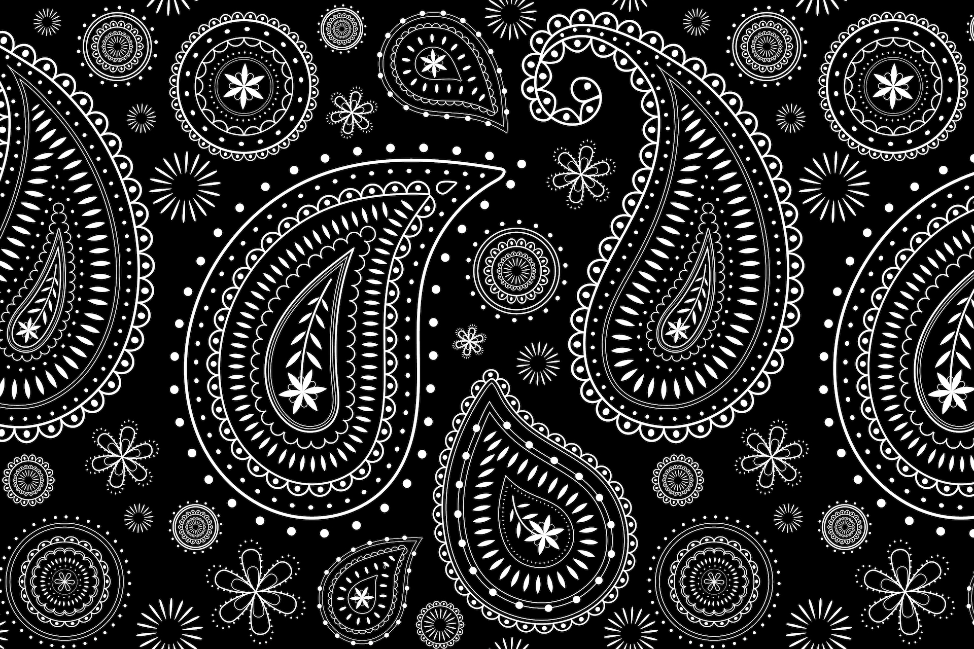 Paisley: come disegnarlo