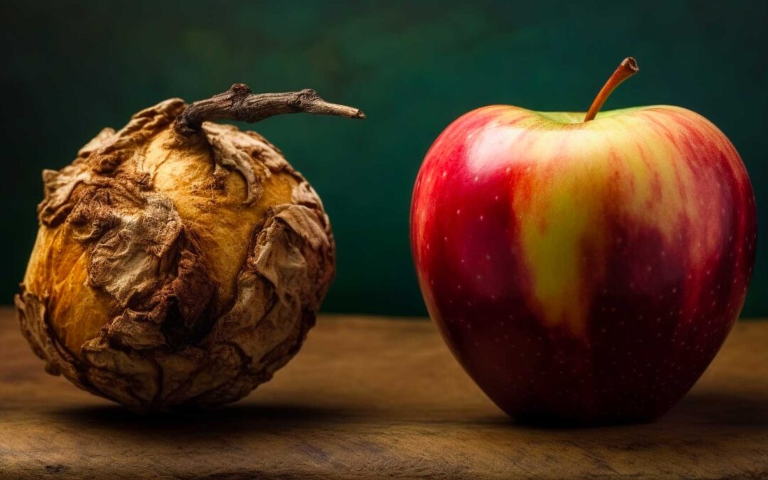 Rivitalizzare le Conversioni: come applicare la Pre-Suasione di Cialdini al Marketing di Contenuti