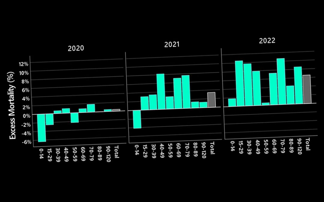 Eccessi di mortalità. Lo studio tedesco. Cosa è successo nella primavera del 2021?