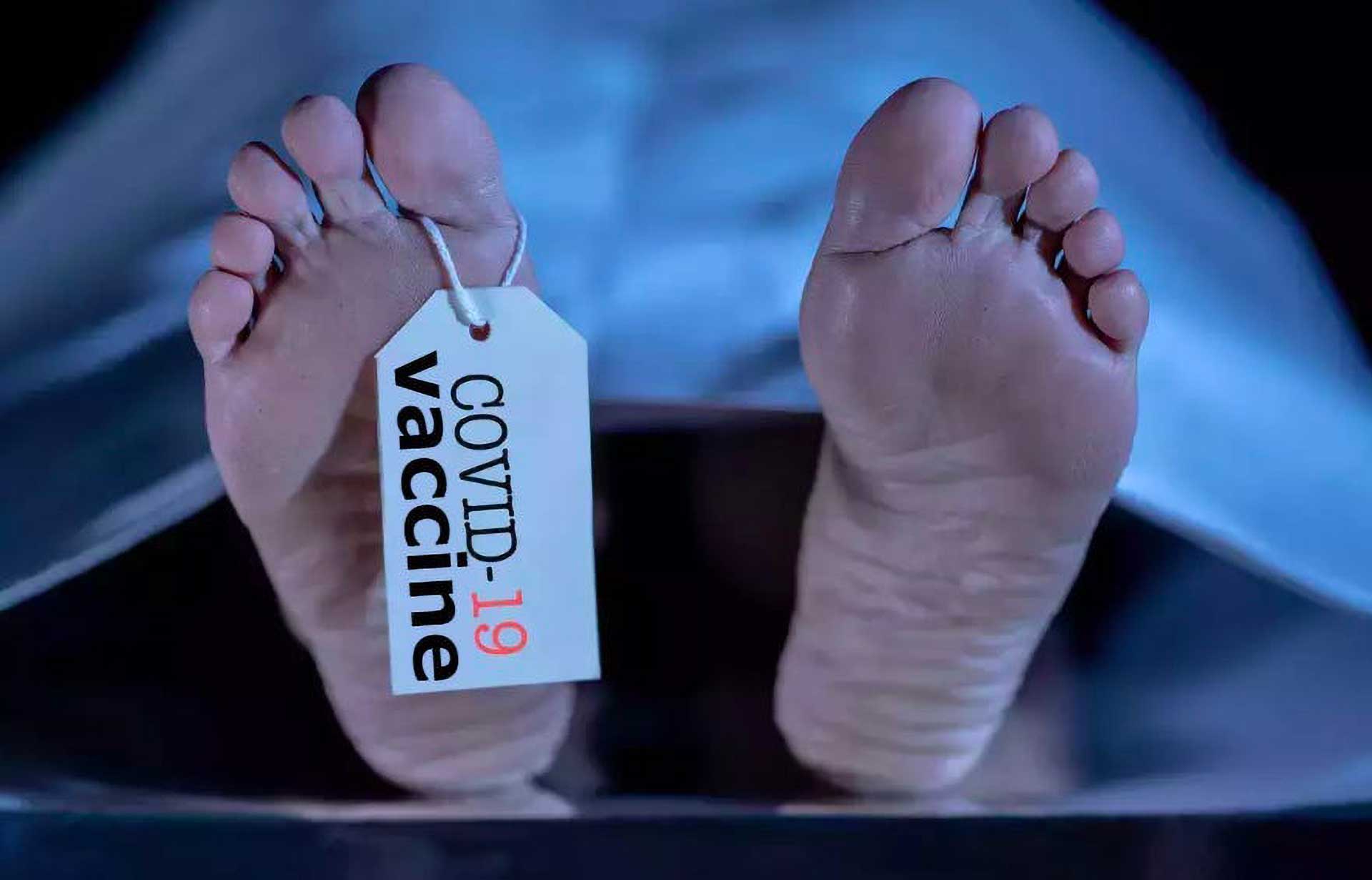 1 morto ogni mille dosi da vaccino