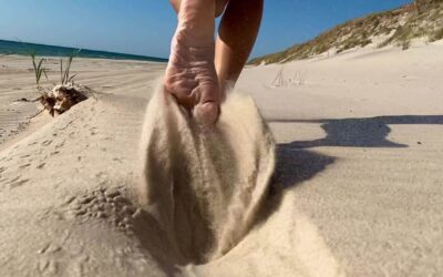 Tra spiagge bollenti e sentieri ombrosi: la filosofia delle decisioni