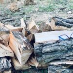 Foresta, famiglia e fuoco: la storia di un inverno indimenticabile