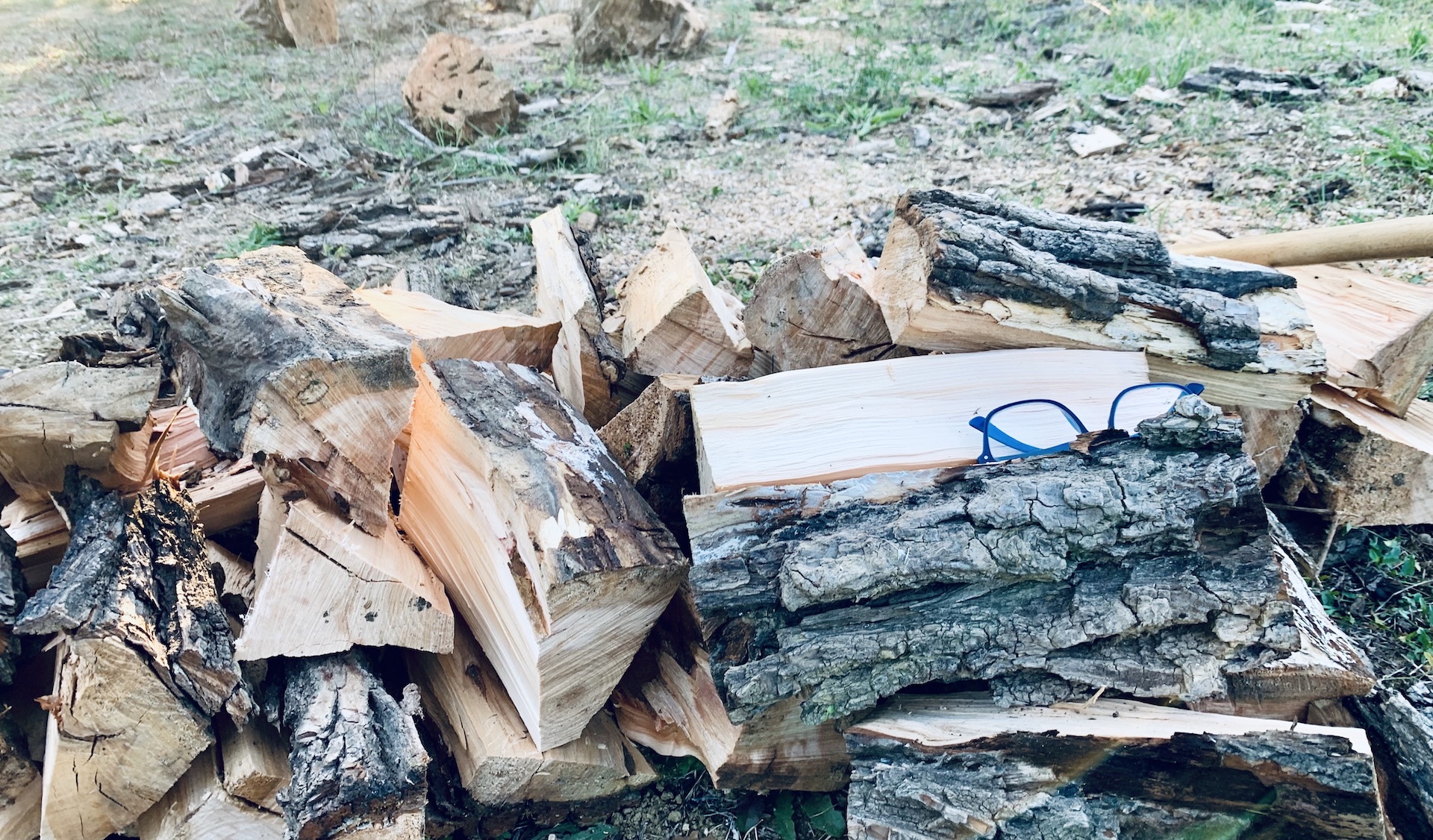 Foresta, famiglia e fuoco: la storia di un inverno indimenticabile
