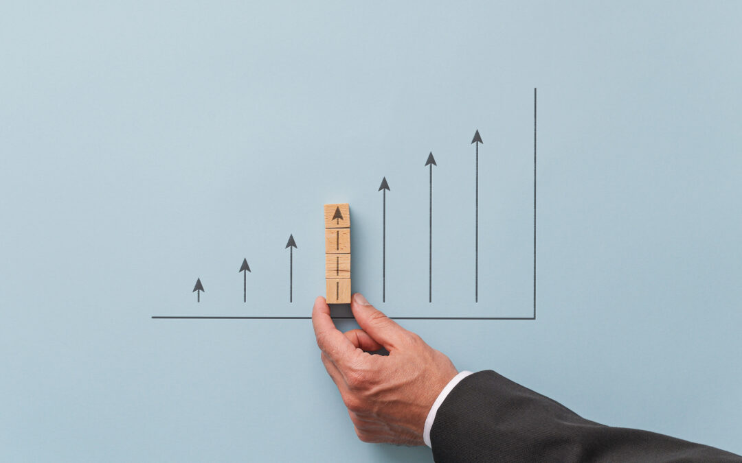 Da settembre 2022 ad agosto 2023: Carlissimo Me cresce del 102.21% senza pubblicità