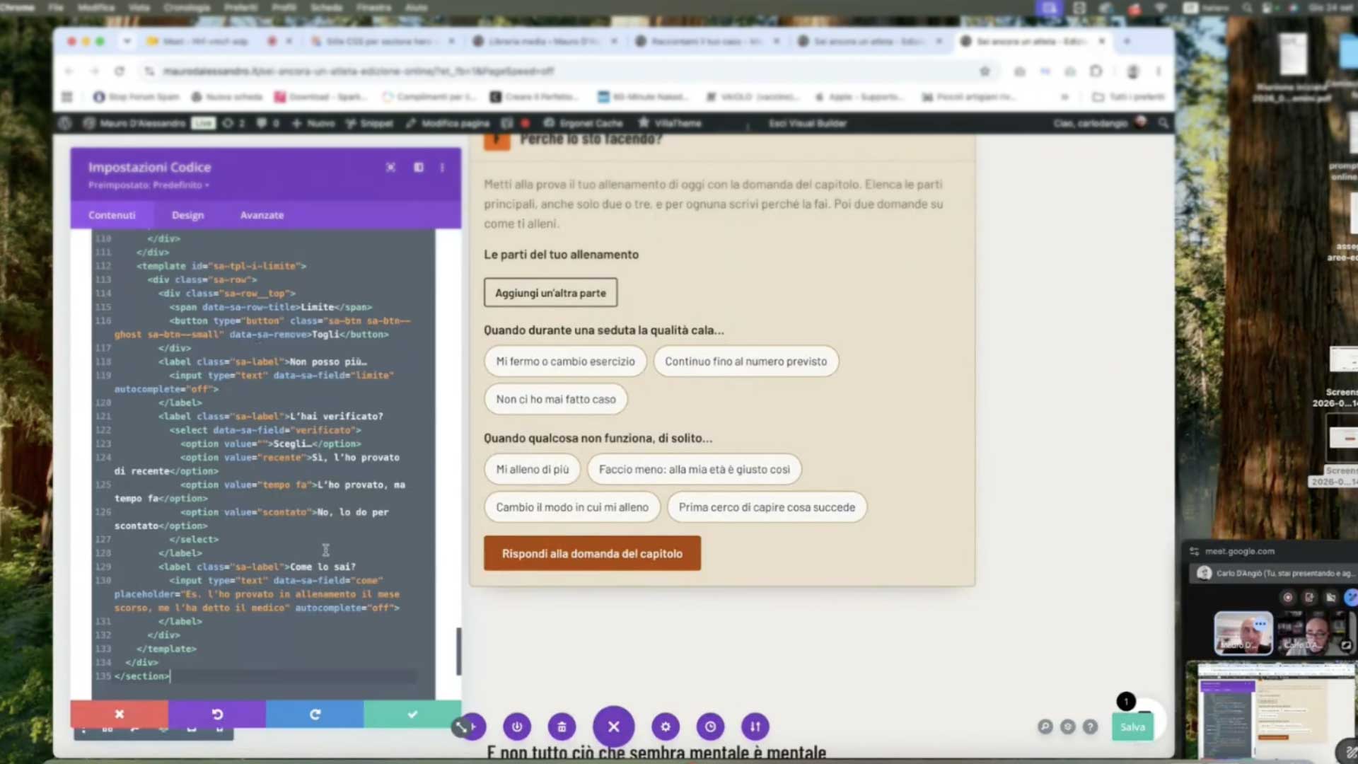 Carlo D’Angiò al lavoro durante una call con un cliente Carlo D'Angiò durante una call con un cliente mentre lavora su una pagina WordPress e sul codice del progetto